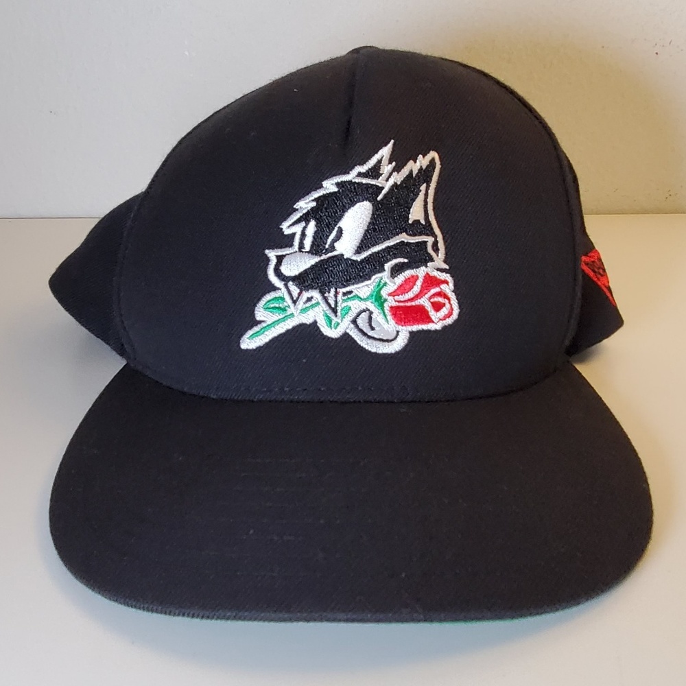 Green Day Revolution Radio Pasadena Rose Bowl Cap